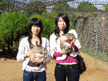 うさぎ